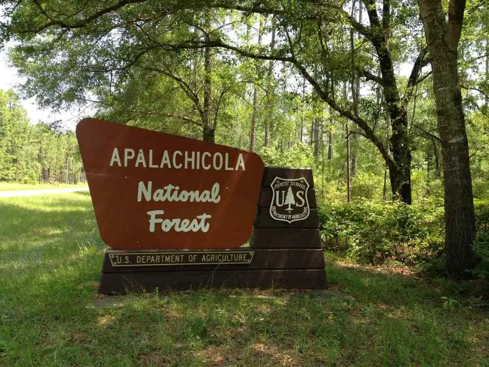 Apalachicola National Forest