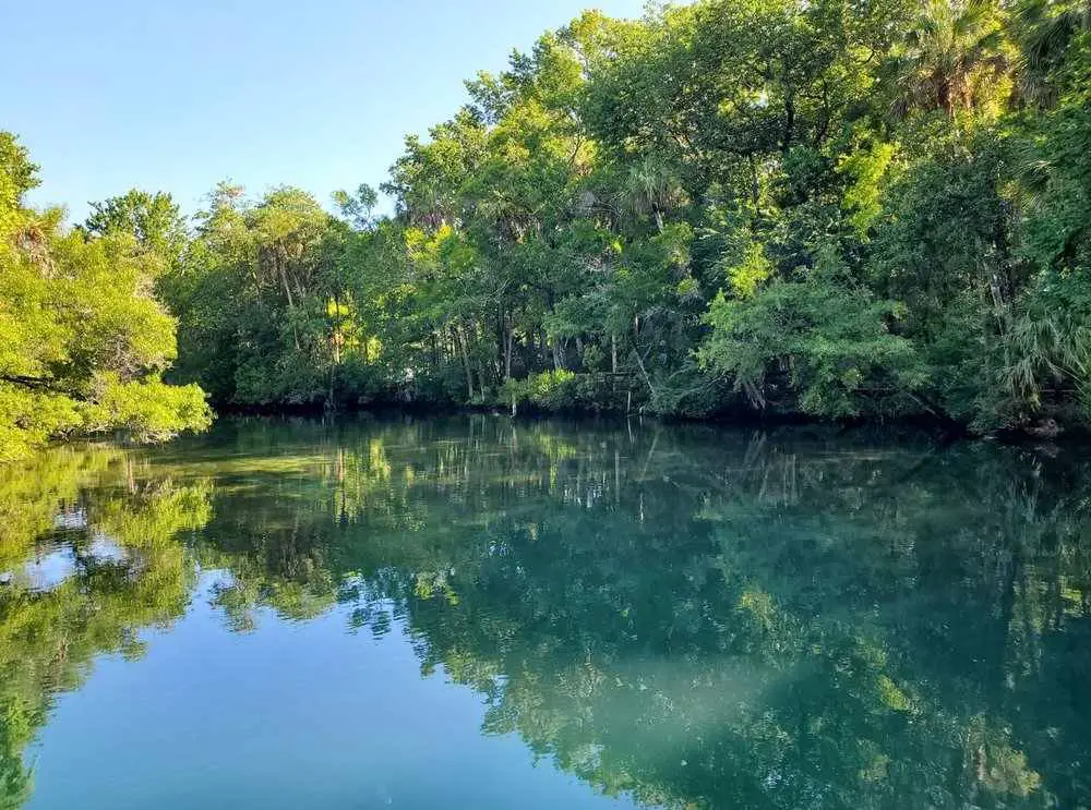 Homosassa Springs Wildlife State Park