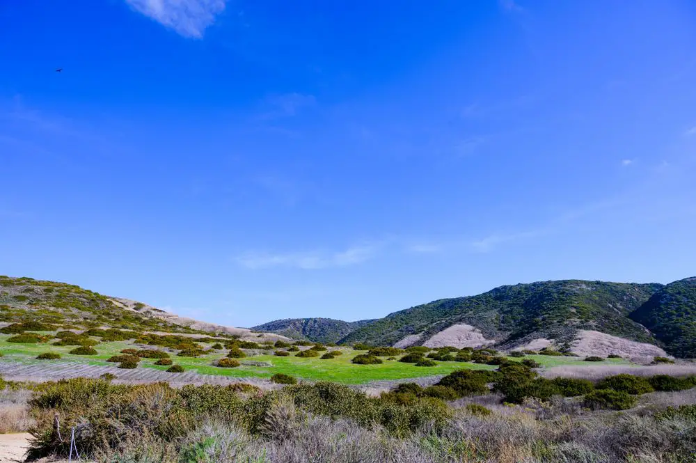 Moro Campground, Crystal Cove State Park