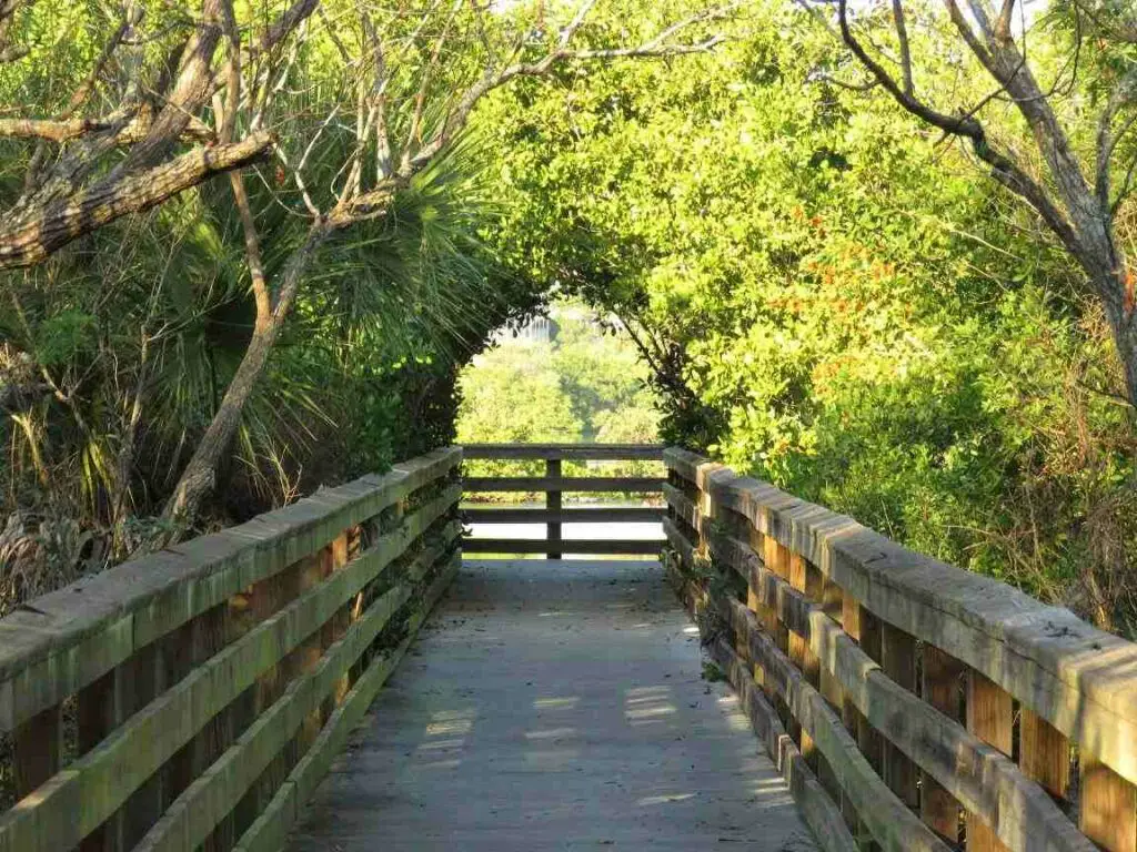 Amberjack Environmental Park