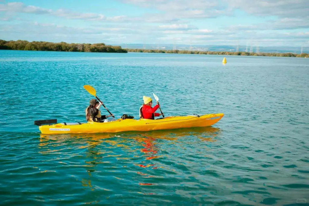 Kayaking experience in Morro Bay