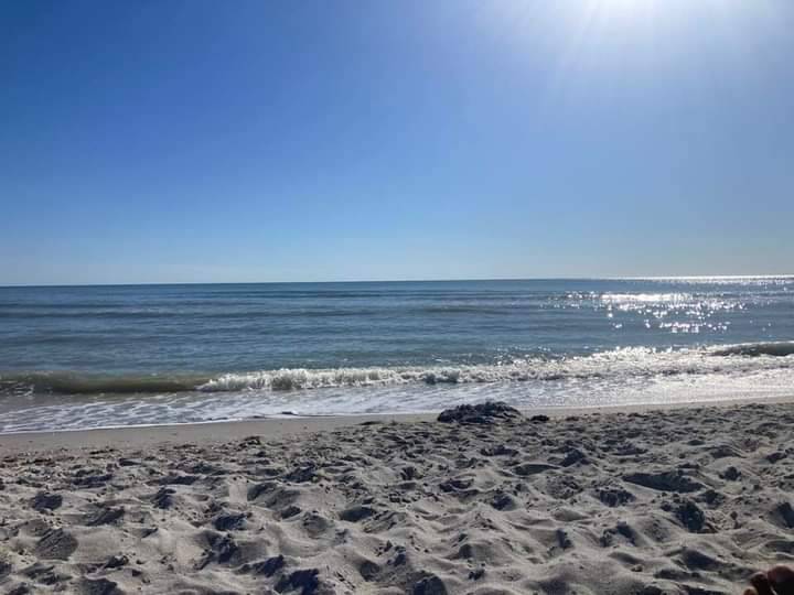 Sanibel Island Beach